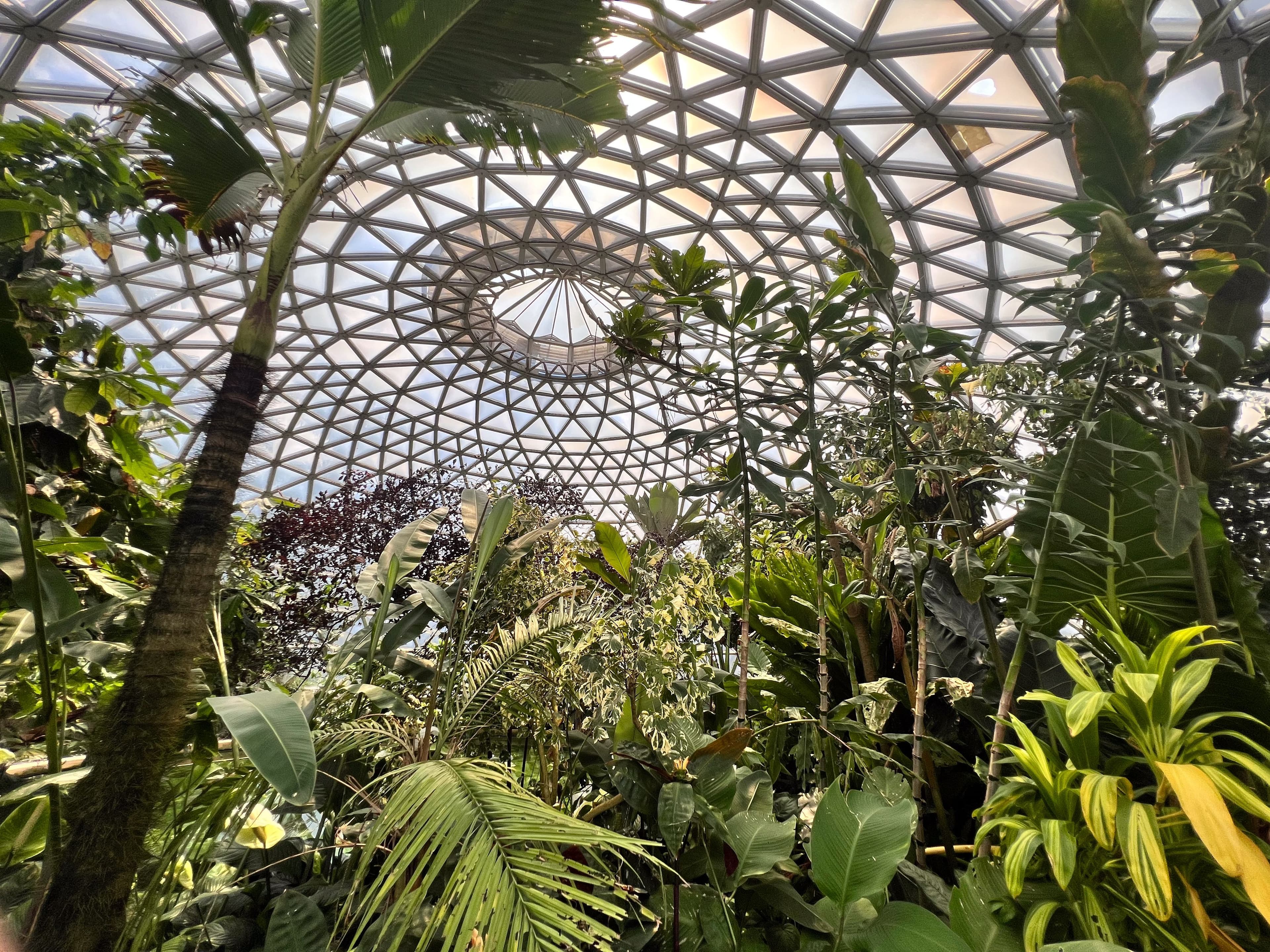 Brisbane Botanical Gardens.jpeg