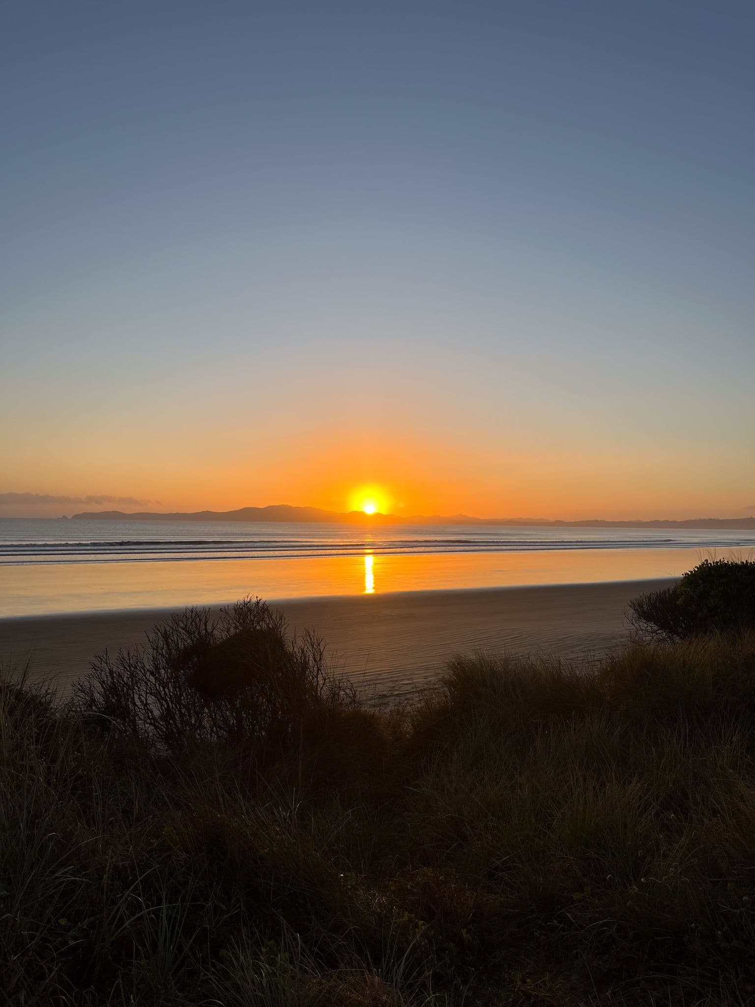 Fatima Wheeler-12.jpg