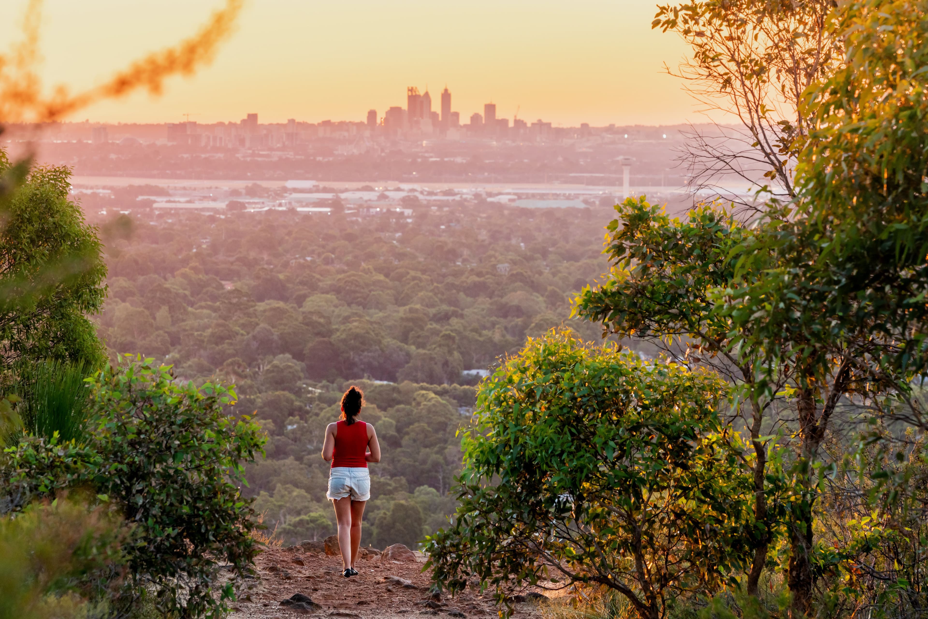 Perth Skyline from Zig Zag Hill.jpeg